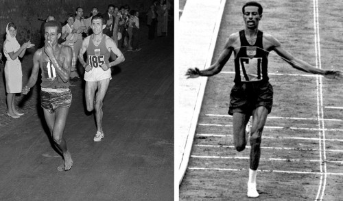 Vận động viên marathon Abebe Bibika