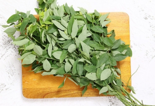 Rau ngót chứa lượng vitamin C cao hơn cam và chanh