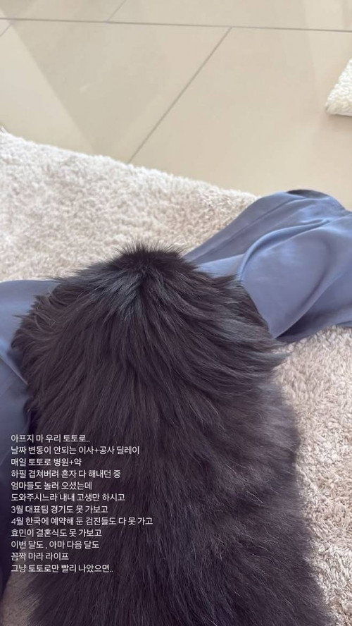 Ảnh 2