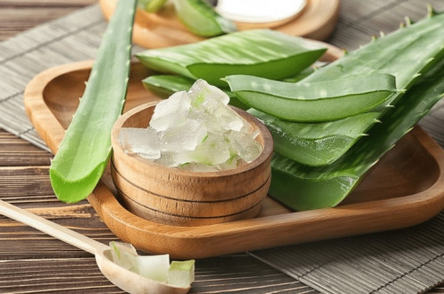 Lá lô hội giúp cải thiện sức khỏe tóc.