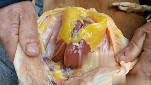 Chất dinh dưỡng từ thịt gà.