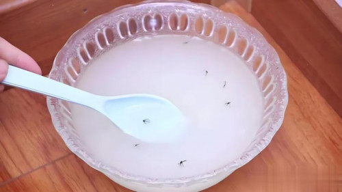 Diệt muỗi hiệu quả