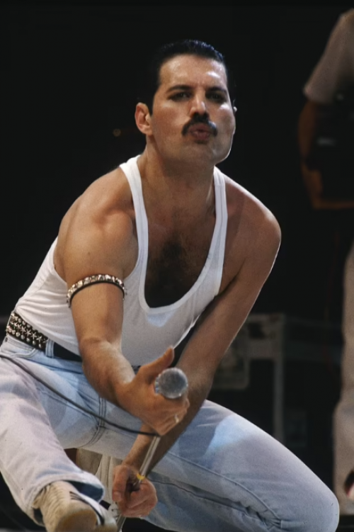 17 cuốn nhật ký bí mật của Freddie Mercury sẽ được công bố - Ảnh 1.