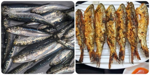 Cá mòi chứa nhiều Omega-3 và canxi