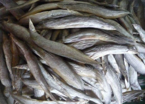 Cá chạch mang lại nhiều lợi ích cho sức khỏe
