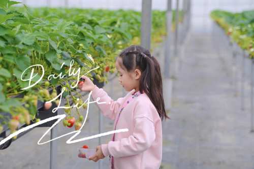 Chiều cao của con gái Hoa hậu Đặng Thu Thảo gây bất ngờ - Ảnh 2.