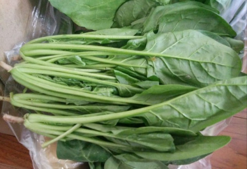Rau có hàm lượng oxalate cao