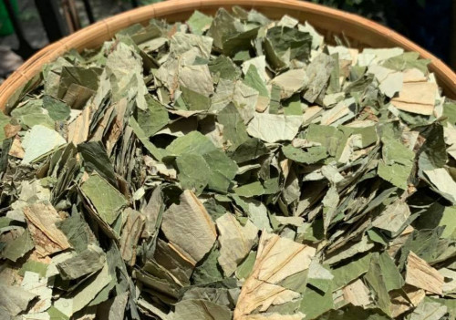 Công dụng làm đẹp của lá sen