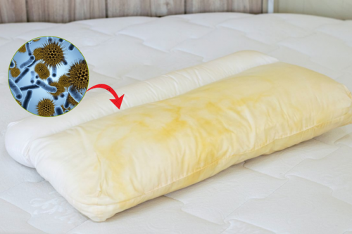 Cảnh báo 2 sai lầm tai hại khi sử dụng gối: Số 2 vệ sinh không đúng cách.