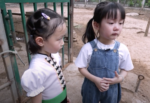 Bảo Ngư tương tác với capybara