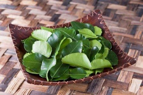 Lá chanh có nhiều tác dụng cho sức khỏe.