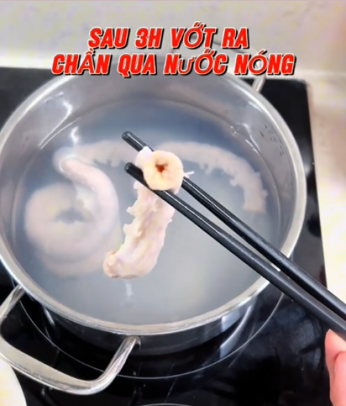 Thí nghiệm ngâm phèn chua