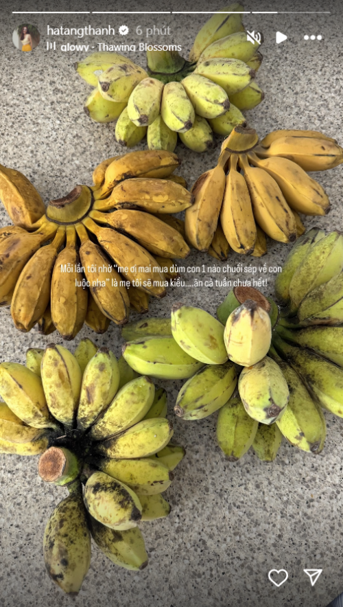 Nhà hào môn không thiếu sơn hào hải vị nhưng Hà Tăng "mê như bắt được vàng" khi mẹ đem về cho thứ dân dã này- Ảnh 1.