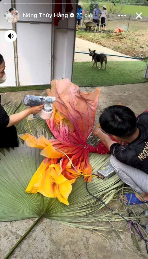 Hình ảnh Nông Thúy Hằng trong lễ dạm ngõ