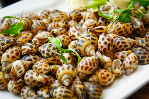 Độc hương - hải sản thơm ngon và giàu dinh dưỡng