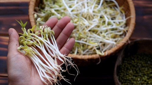 Hóa chất độc hại trong rau củ