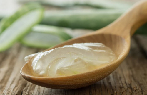 Nha đam giúp tái tạo tế bào
