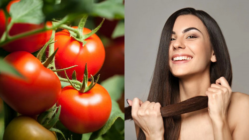 Cà chua có thể chống rụng tóc
