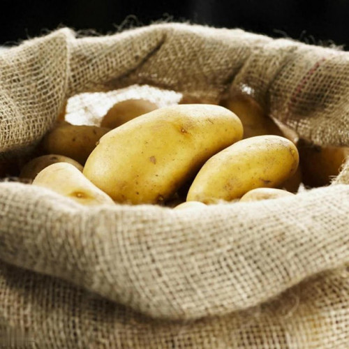 Rắc 1 năm thứ này vào khoai tây