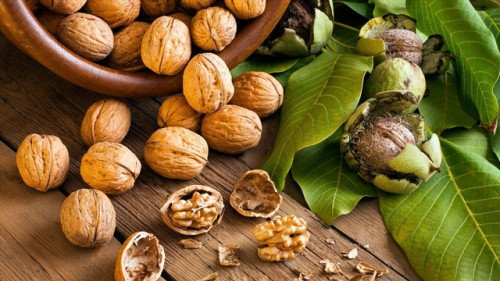 Óc chó được trồng ở nhiều nơi tại Việt Nam.