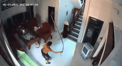Hành động của người phụ nữ trong phòng khách