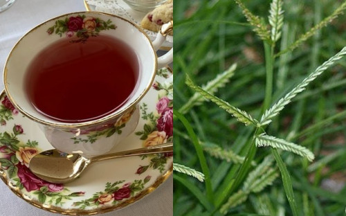 Cỏ mần trầu giúp chống rụng tóc