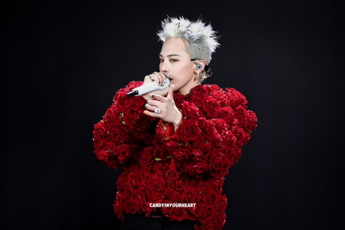 G-Dragon chưa công bố concert cá nhân