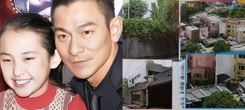 Ái nữ đắt giá nhất showbiz, được nam thần hàng A chi 1665 tỉ để nâng niu- Ảnh 3.