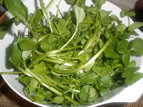Cải xoong là loại rau tốt cho sức khỏe tim mạch và xương khớp