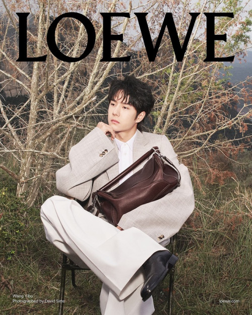 Puzzle Bag của LOEWE.