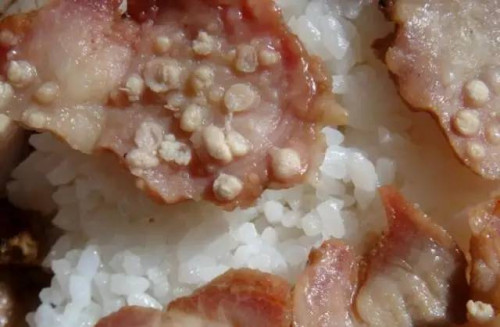 Thận lợn không nên mua về ăn.