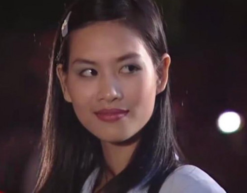 Vai diễn Nguyệt “thảo mai”