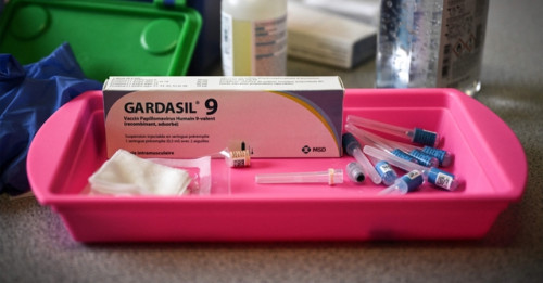 Có mấy loại vắc xin HPV cho nữ giới?- Ảnh 1.