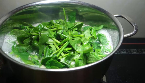 Rau mồng tơi: Bổ dưỡng và thanh mát