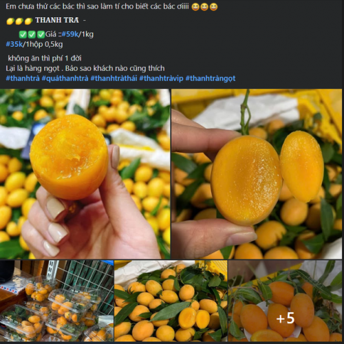 Giá của quả thanh trà được đánh giá là rẻ.