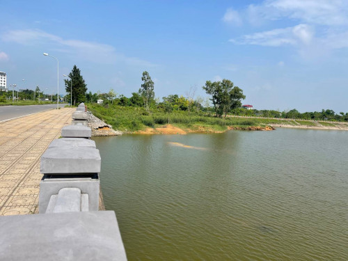 Hiện trường vụ việc