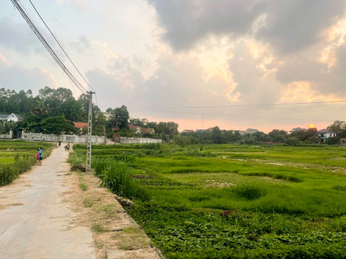 Tang lễ của L.V.Đ