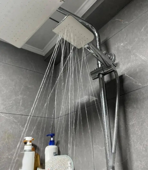 Vỏ hoa sen cần được vệ sinh định kỳ.