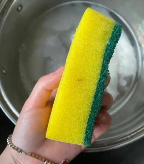 Miếng bọt biển rửa chén có thể chứa nhiều vi khuẩn.