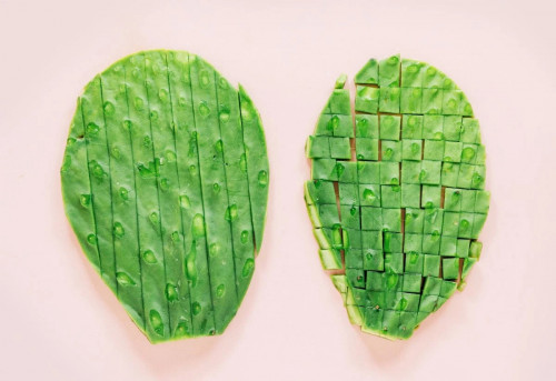 Cắt xương rồng
