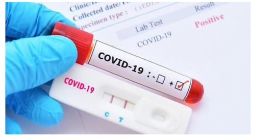 NÓNG: 83% mẫu COVID-19 tại TP HCM là biến chủng mới NB.1.8.1- Ảnh 1.