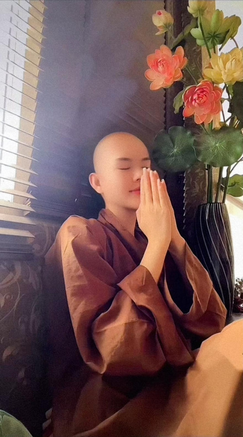Ngọc Trinh trong sự nghiệp diễn xuất
