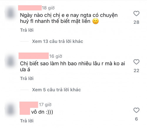 Hoa hậu Việt bị bắt