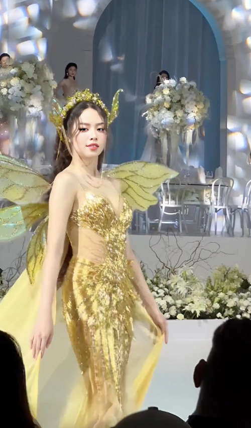 Thanh Thuỵ trong show diễn