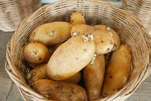 Khoai tây nảy mầm