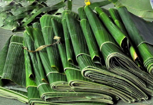Công dụng làm đẹp của lá chuối