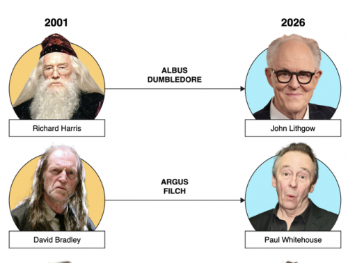 Hơn 30.000 ứng viên tham gia casting Harry Potter - Ảnh 2.