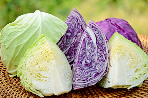 Bắp cải - thực phẩm bảo vệ sức khỏe.