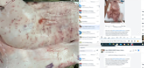 Vụ việc tại cửa hàng CP Việt Nam bán thịt heo bệnh: Tỉnh Sóc Trăng vào cuộc kiểm tra - Ảnh 1.