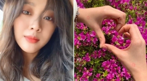 Bi kịch lặp lại của giới giải trí Hàn Quốc mùa bầu cử.